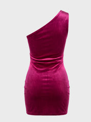 The Velvet Holiday Dress